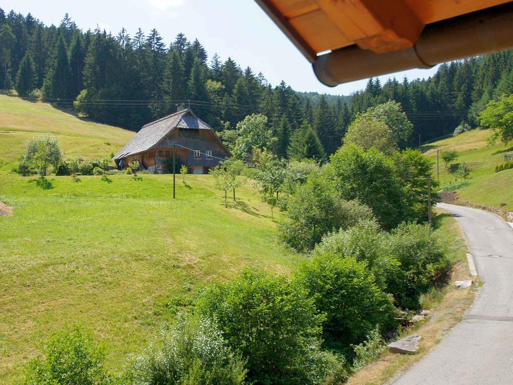 Gastehaus Herrmann Bad Rippoldsau-Schapbach Bagian luar foto