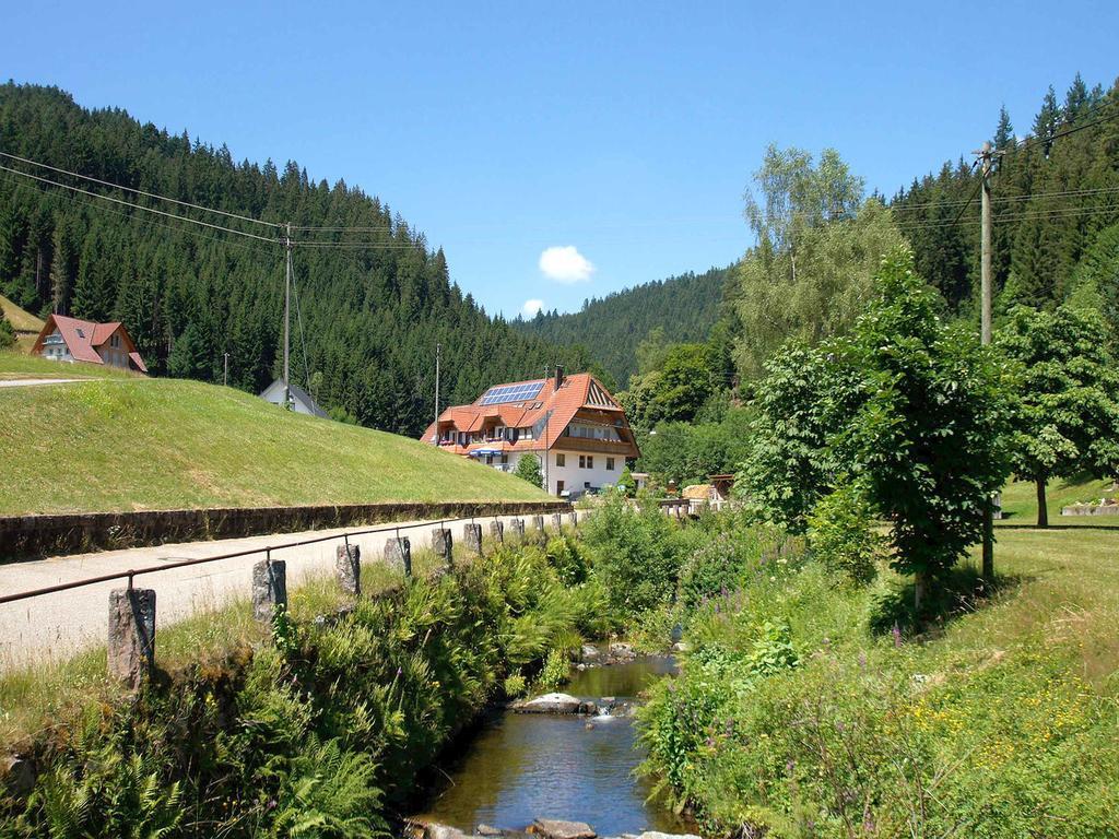 Gastehaus Herrmann Bad Rippoldsau-Schapbach Bagian luar foto